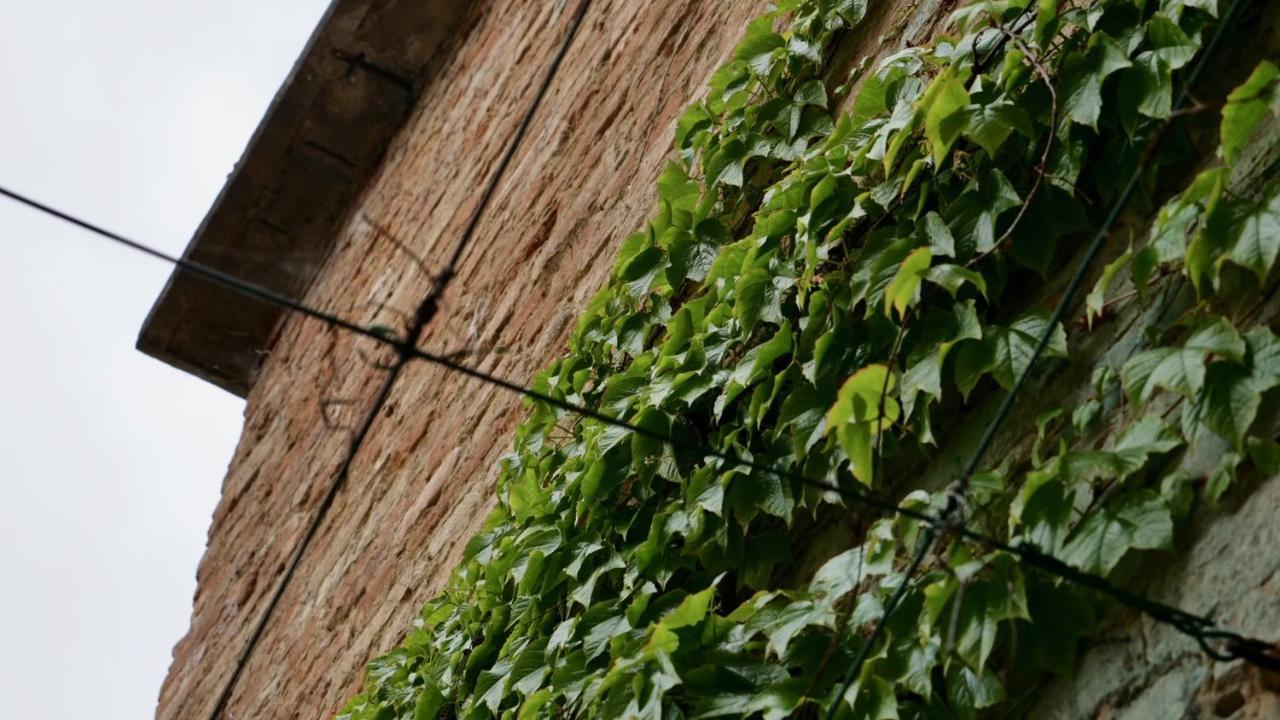 La Casa Di Giulia: Una Pausa In Collina Fubine Екстериор снимка